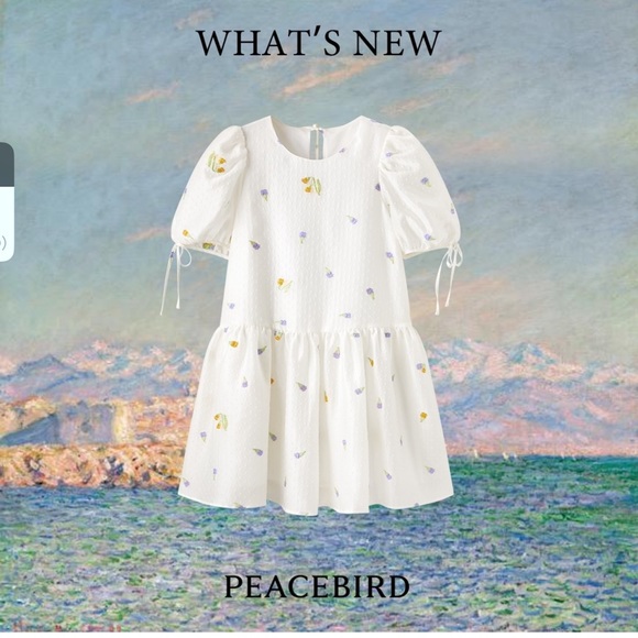 PEACEBIRD Organza Korean Babydoll Dress - Picture 2 of 11